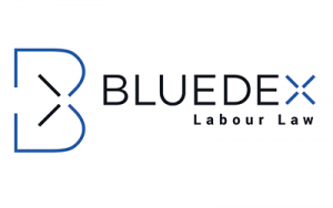 Bluedex_Logos_Karussel